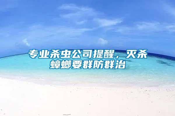 專業殺蟲公司提醒，滅殺蟑螂要群防群治
