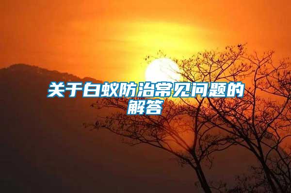 關(guān)于白蟻防治常見(jiàn)問(wèn)題的解答