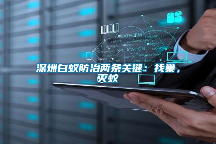 深圳白蟻防治兩條關鍵：找巢，滅蟻