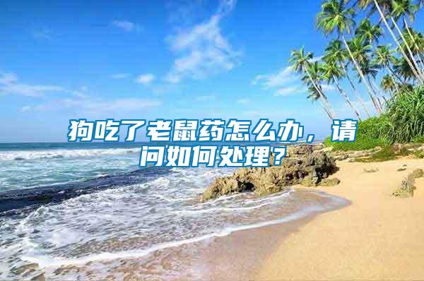 狗吃了老鼠藥怎么辦，請問如何處理？