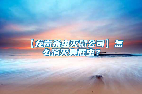 【龍崗殺蟲滅鼠公司】怎么消滅臭屁蟲？