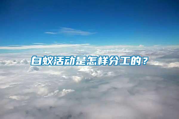白蟻活動是怎樣分工的？