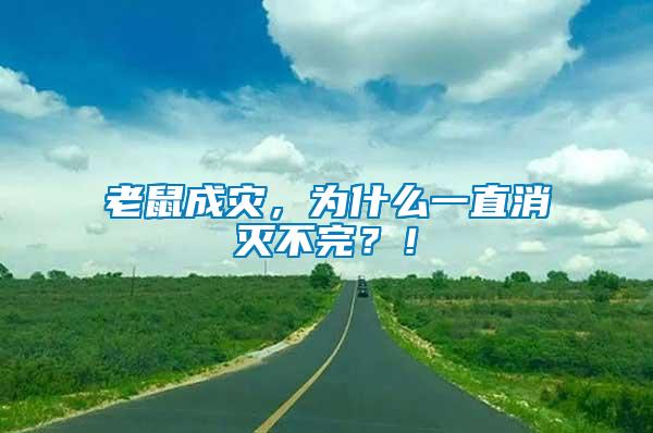 老鼠成災(zāi)，為什么一直消滅不完？！