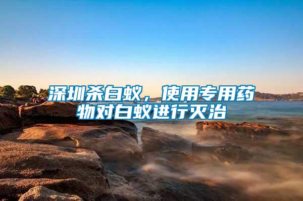 深圳殺白蟻，使用專用藥物對白蟻進行滅治