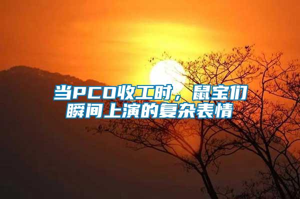 當(dāng)PCO收工時，鼠寶們瞬間上演的復(fù)雜表情