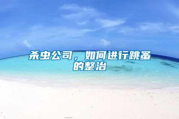 殺蟲公司，如何進(jìn)行跳蚤的整治