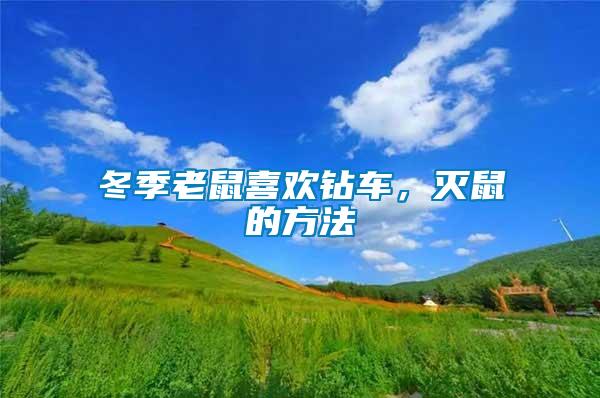 冬季老鼠喜歡鉆車，滅鼠的方法