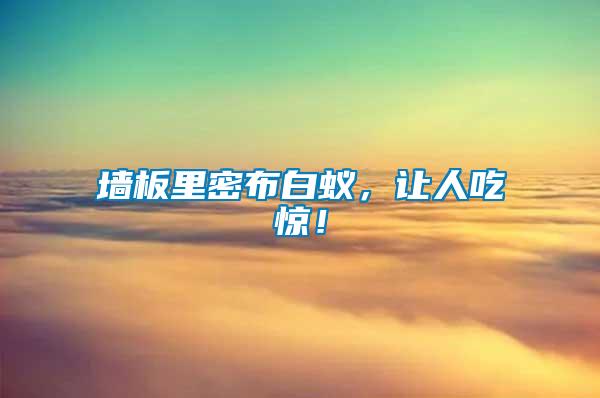 墻板里密布白蟻，讓人吃驚！