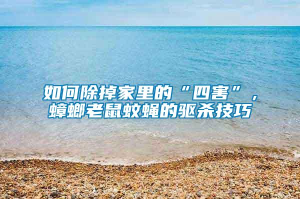 如何除掉家里的“四害”，蟑螂老鼠蚊蠅的驅殺技巧