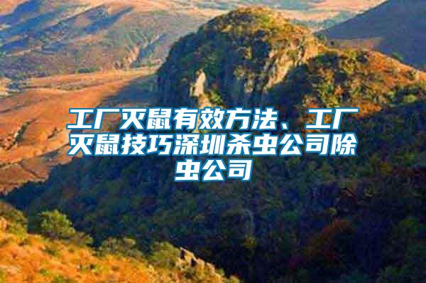 工廠滅鼠有效方法、工廠滅鼠技巧深圳殺蟲(chóng)公司除蟲(chóng)公司