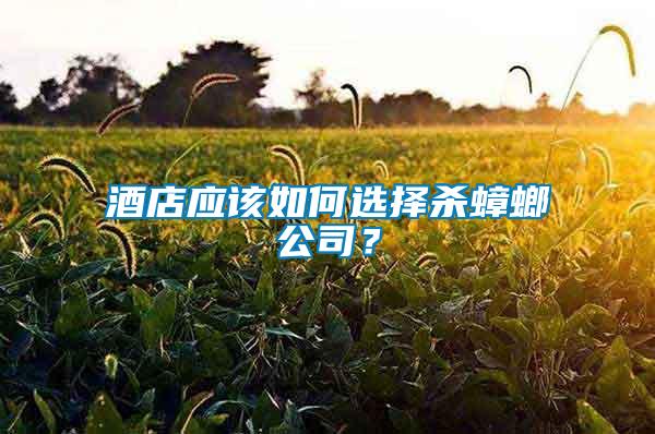 酒店應該如何選擇殺蟑螂公司？
