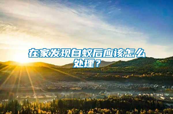 在家發(fā)現(xiàn)白蟻后應(yīng)該怎么處理？