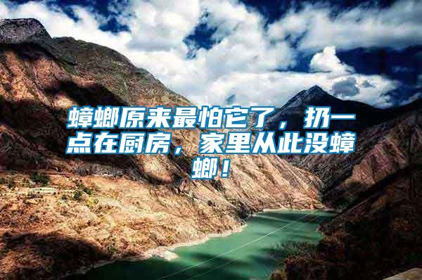 蟑螂原來最怕它了，扔一點(diǎn)在廚房，家里從此沒蟑螂！