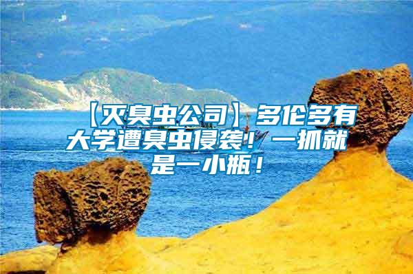 【滅臭蟲公司】多倫多有大學遭臭蟲侵襲！一抓就是一小瓶！