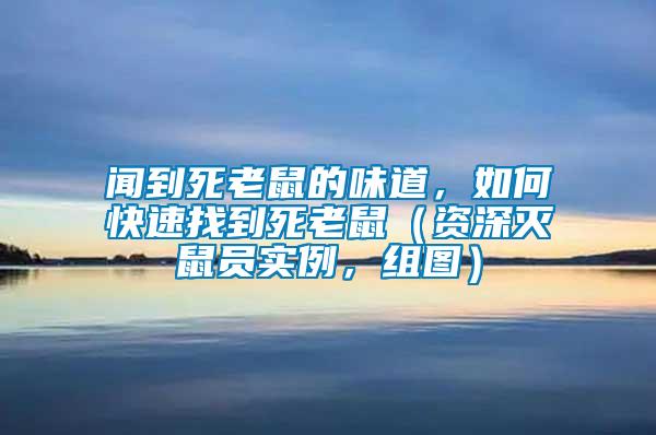 聞到死老鼠的味道，如何快速找到死老鼠（資深滅鼠員實(shí)例，組圖）