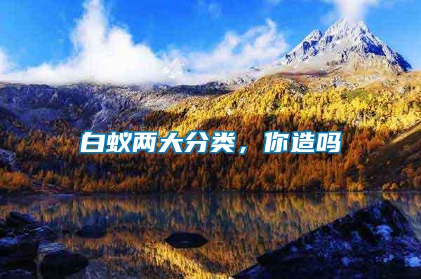 白蟻兩大分類(lèi)，你造嗎