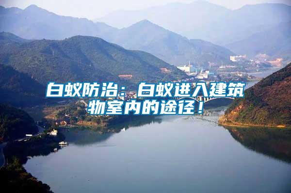 白蟻防治：白蟻進入建筑物室內(nèi)的途徑！