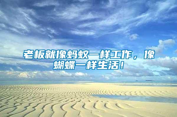 老板就像螞蟻一樣工作，像蝴蝶一樣生活！