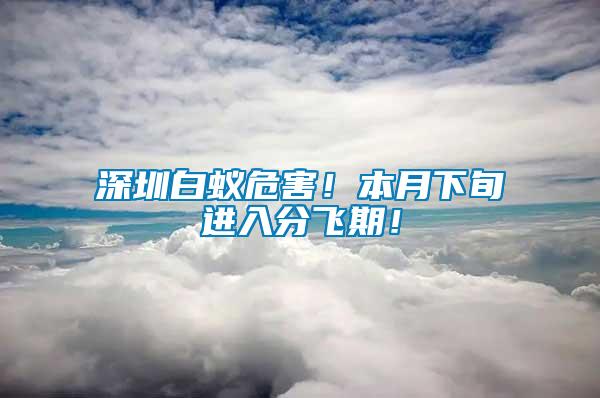 深圳白蟻危害！本月下旬進入分飛期！