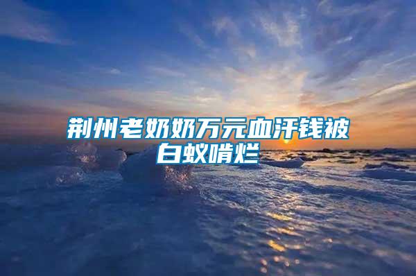 荊州老奶奶萬(wàn)元血汗錢(qián)被白蟻啃爛