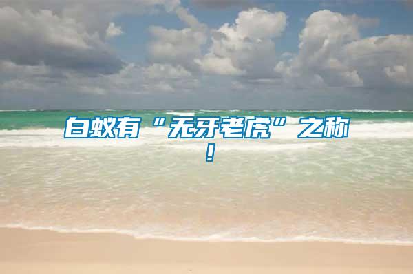 白蟻有“無牙老虎”之稱！