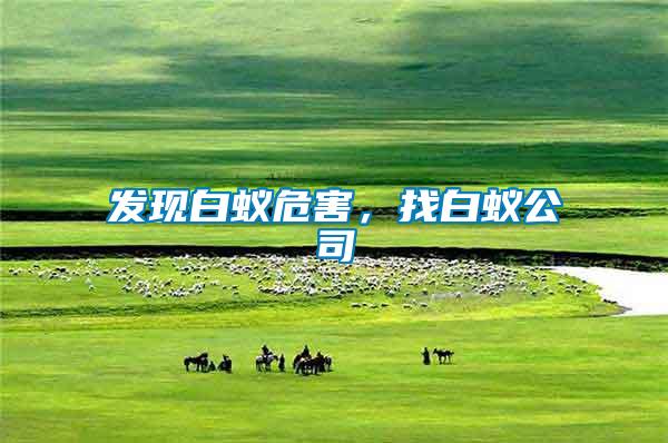 發現白蟻危害，找白蟻公司