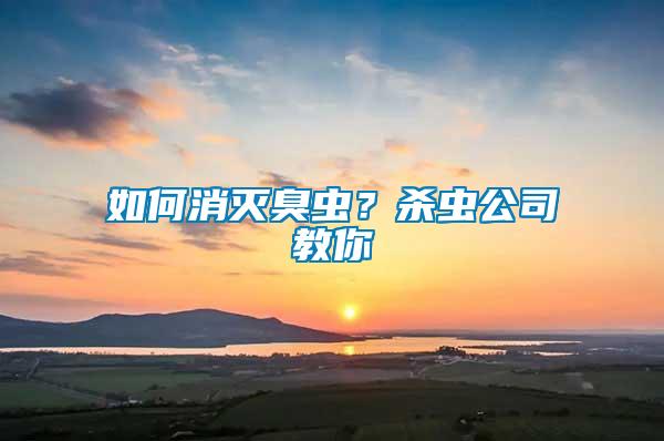 如何消滅臭蟲？殺蟲公司教你