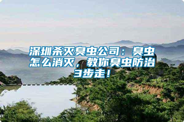 深圳殺滅臭蟲公司：臭蟲怎么消滅，教你臭蟲防治3步走！