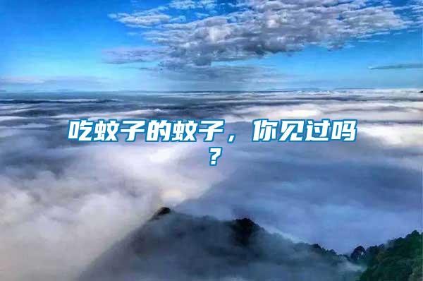 吃蚊子的蚊子，你見(jiàn)過(guò)嗎？