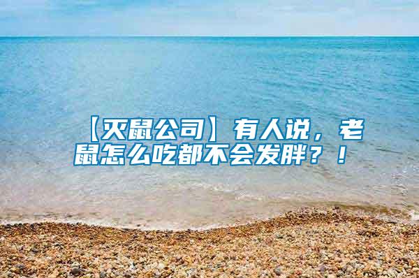 【滅鼠公司】有人說，老鼠怎么吃都不會發胖？！