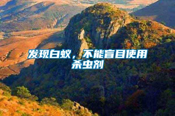發現白蟻，不能盲目使用殺蟲劑