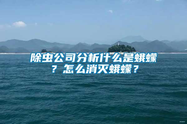 除蟲(chóng)公司分析什么是蛾蠓？怎么消滅蛾蠓？