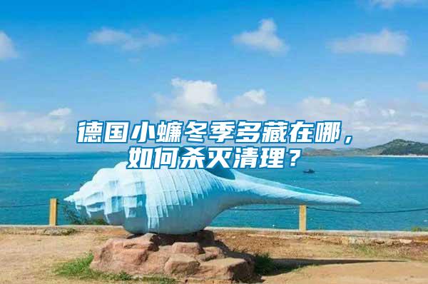 德國(guó)小蠊冬季多藏在哪，如何殺滅清理？