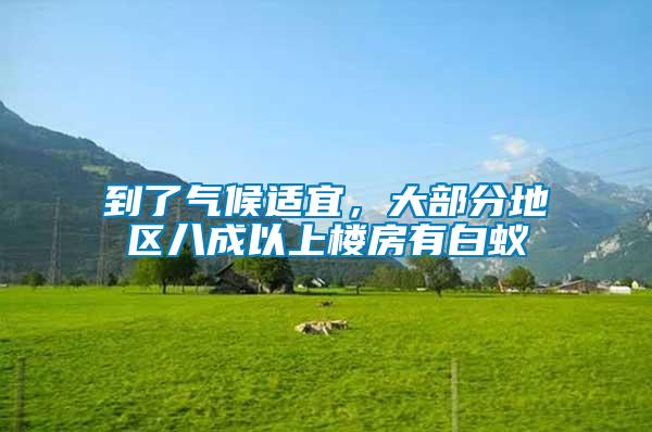 到了氣候適宜，大部分地區八成以上樓房有白蟻