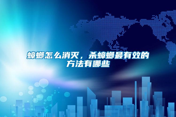 蟑螂怎么消滅，殺蟑螂最有效的方法有哪些