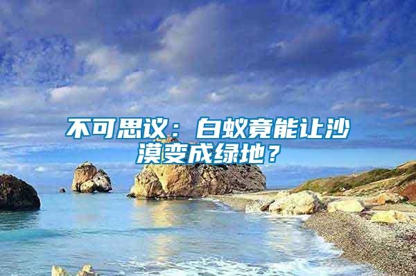 不可思議：白蟻竟能讓沙漠變成綠地？