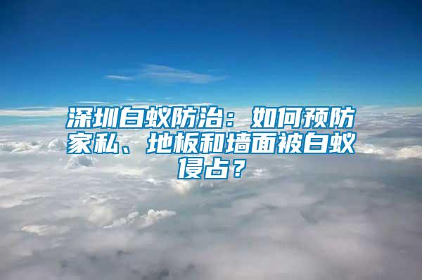 深圳白蟻防治：如何預防家私、地板和墻面被白蟻侵占？