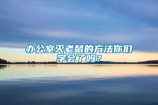 辦公室滅老鼠的方法你們學會了嗎？