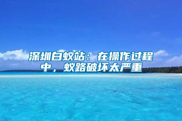 深圳白蟻站：在操作過(guò)程中，蟻路破壞太嚴(yán)重