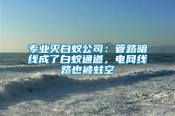 專業(yè)滅白蟻公司：管路暗線成了白蟻通道，電網(wǎng)線路也被蛀空