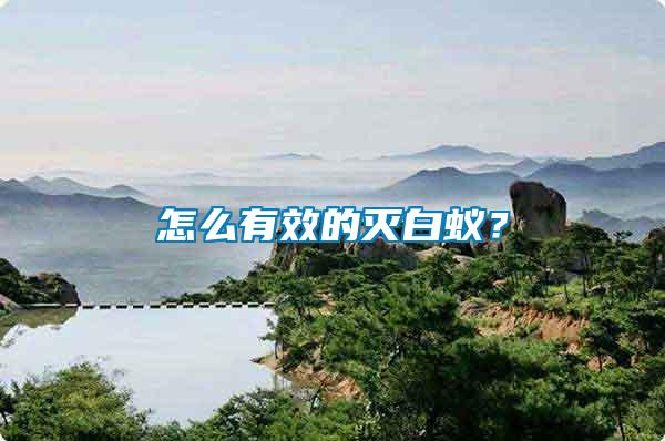 怎么有效的滅白蟻？
