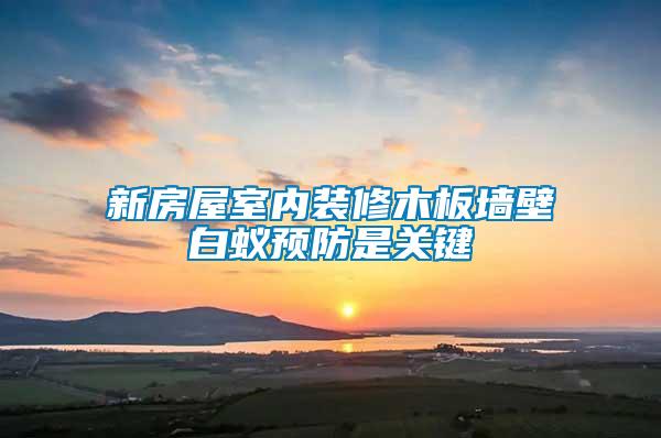 新房屋室內(nèi)裝修木板墻壁白蟻預防是關鍵