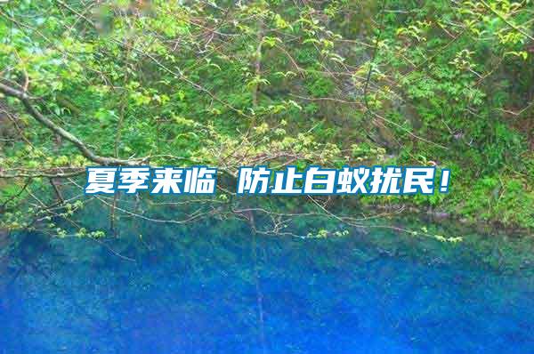夏季來臨 防止白蟻擾民！