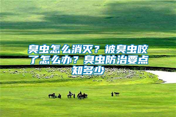 臭蟲怎么消滅？被臭蟲咬了怎么辦？臭蟲防治要點知多少