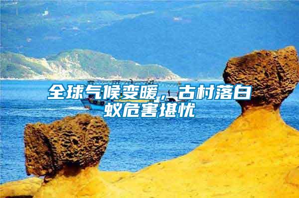 全球氣候變暖，古村落白蟻危害堪憂