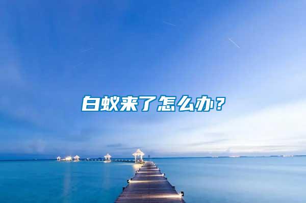 白蟻來了怎么辦？