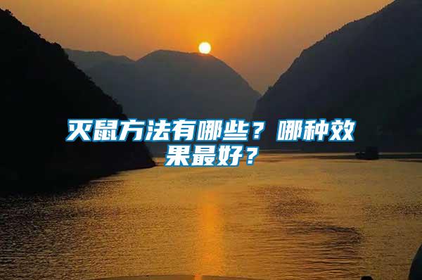 滅鼠方法有哪些？哪種效果最好？