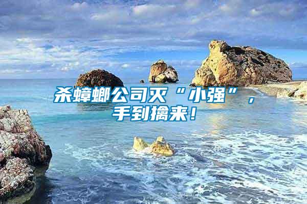 殺蟑螂公司滅“小強”，手到擒來！