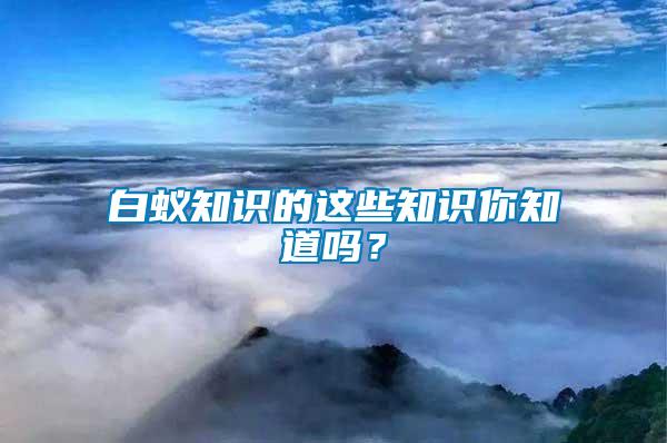 白蟻知識(shí)的這些知識(shí)你知道嗎？