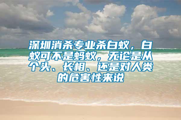 深圳消殺專業殺白蟻，白蟻可不是螞蟻，無論是從個頭、長相、還是對人類的危害性來說